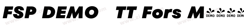 FSP DEMO   TT Fors M字体转换